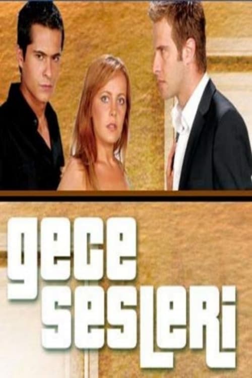 Gece Sesleri : 1.Sezon 6.Bölüm