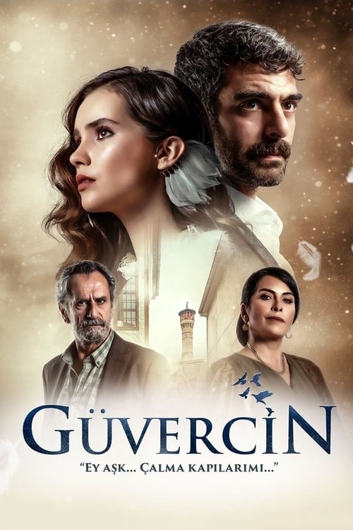 Güvercin : 1.Sezon 4.Bölüm