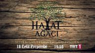 Hayat Ağacı izle
