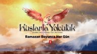 Kuşlarla Yolculuk izle